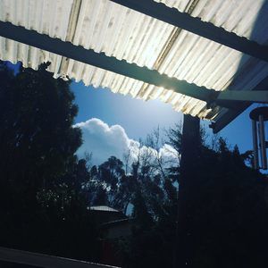 Meet your Posher, Isabella